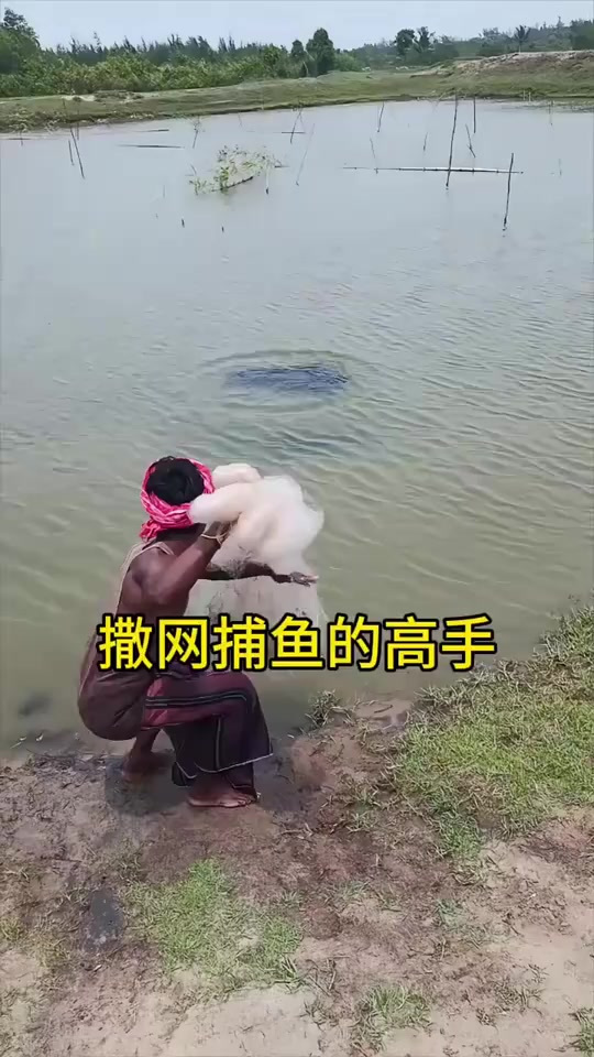 撒网捕鱼的高手 (1)
