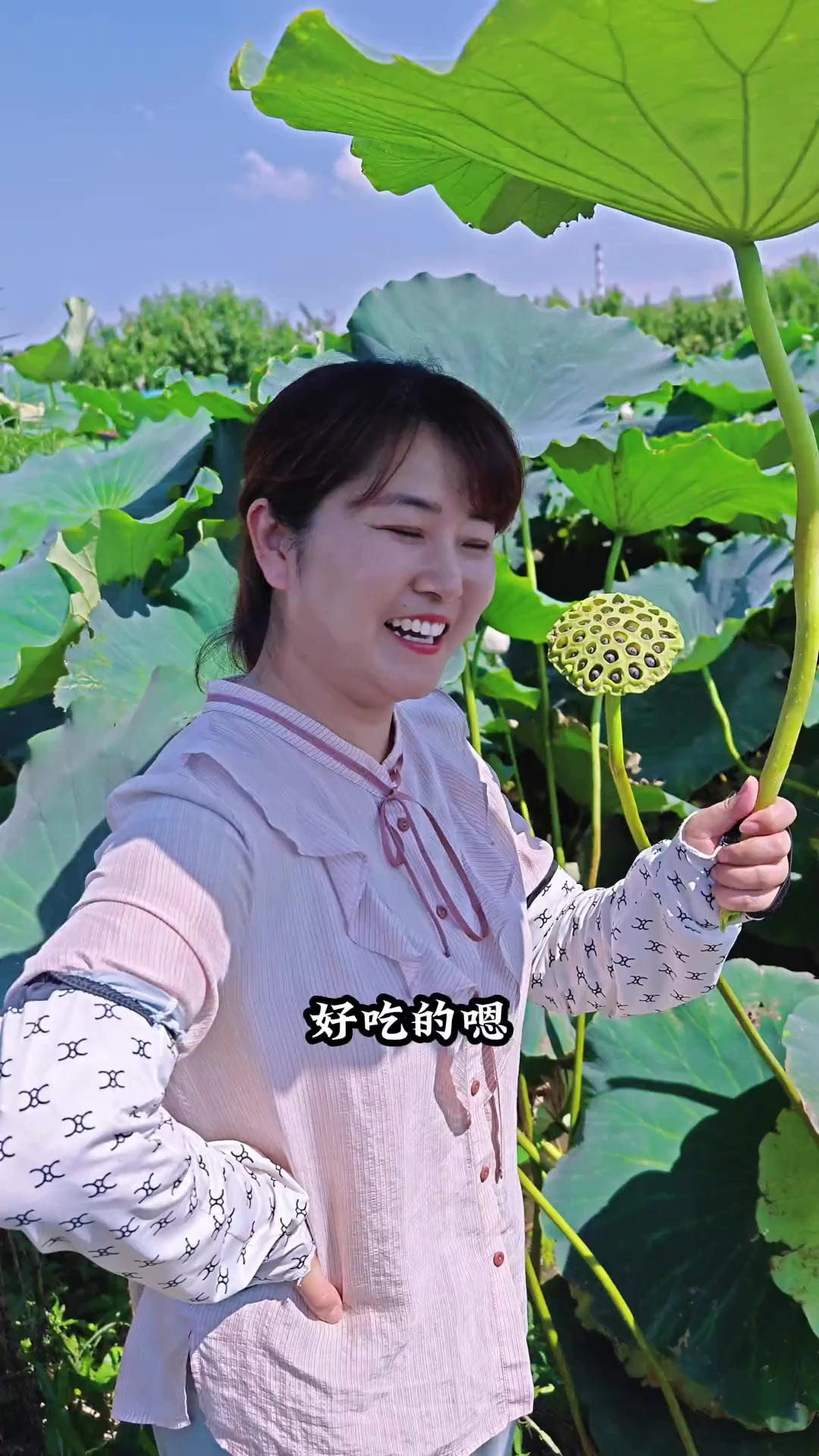 桂花糯米藕……冰镇过后更美味……