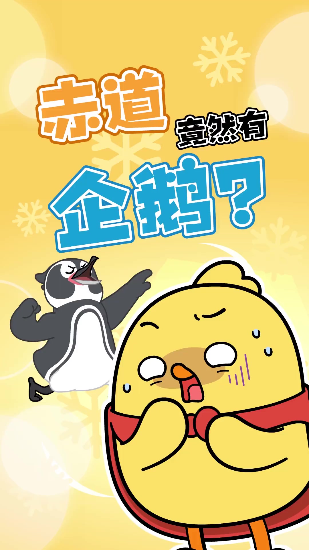 企鹅只生活在南极？nonono！赤道也有企鹅！
