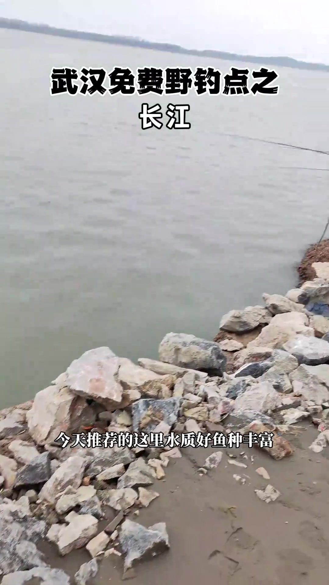 野钓扁鱼草鱼,武汉免费野钓推荐!扁鱼草鱼鮰鱼钓点!