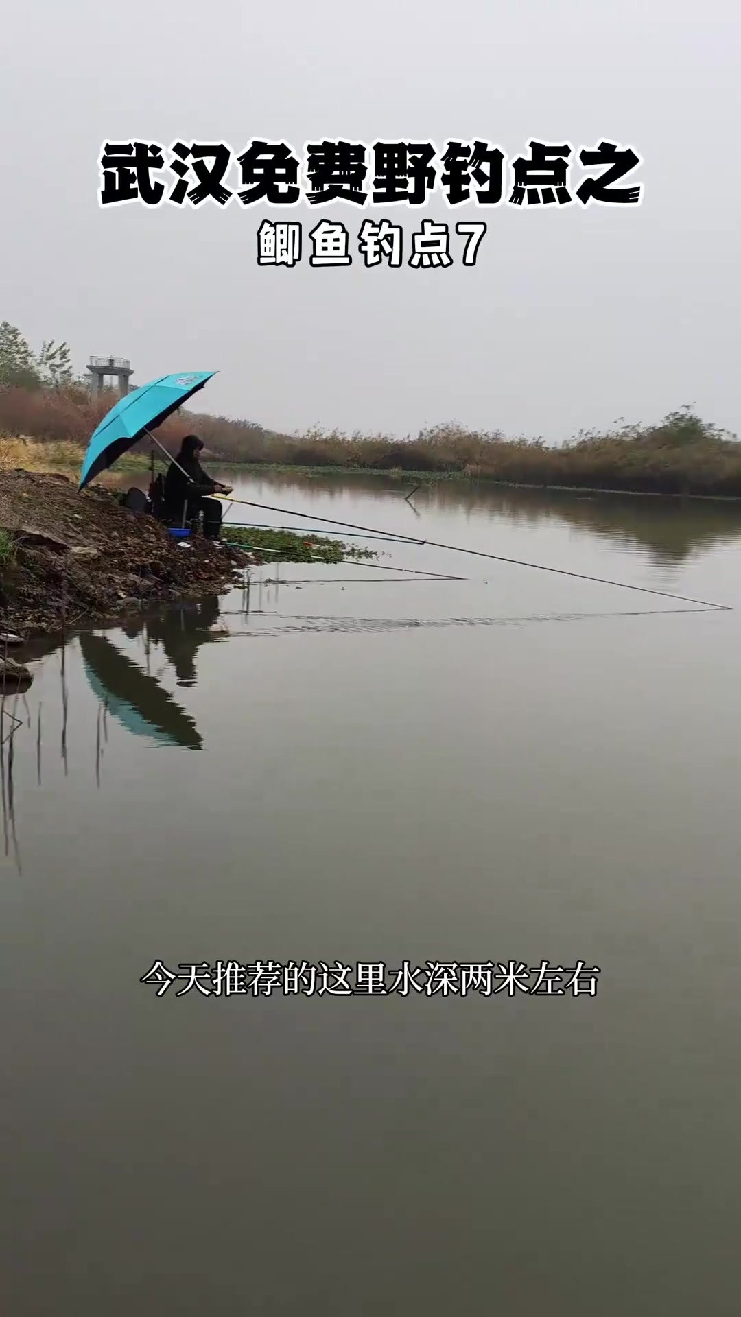 武汉免费野钓点推荐!鲫鱼口很好!