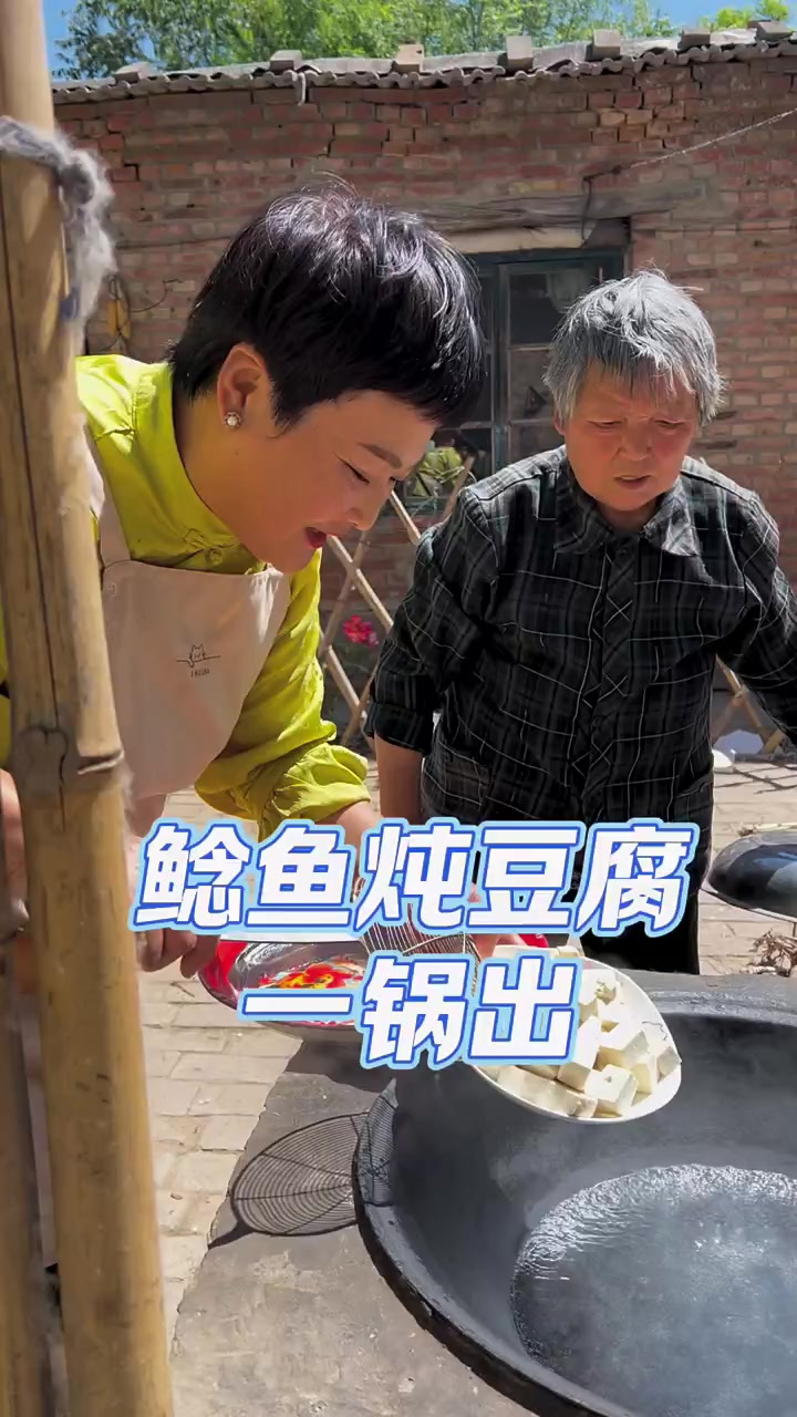 河北人的家常便饭，鲶鱼炖豆腐一锅出