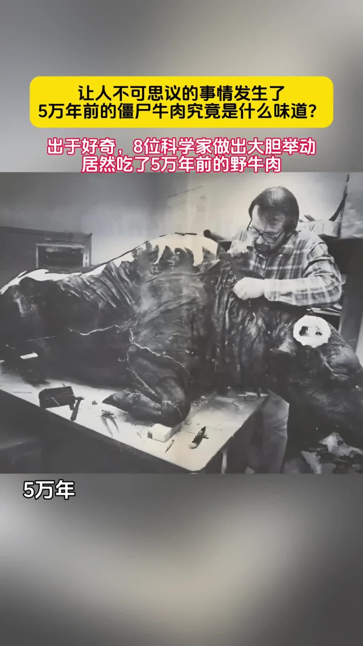 5万年前的僵尸牛肉是什么味道?8位科学家居然吃了5万年前的野牛肉