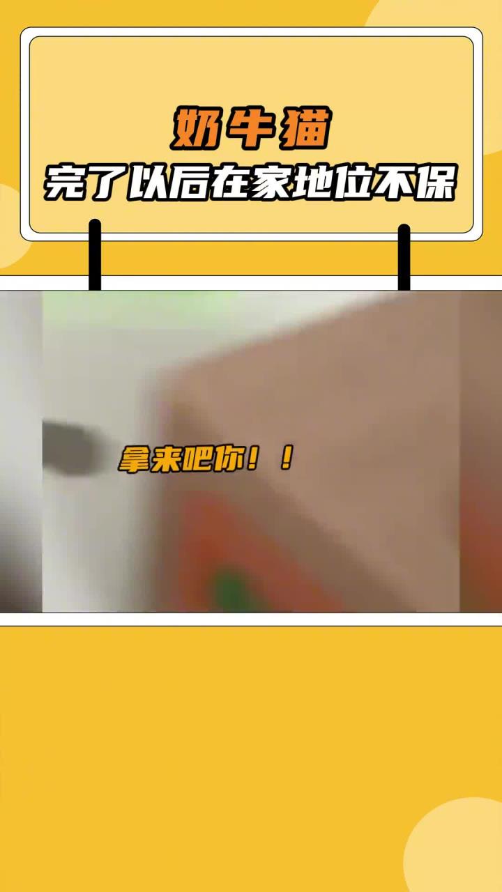 奶牛猫:哪儿来的高科技?