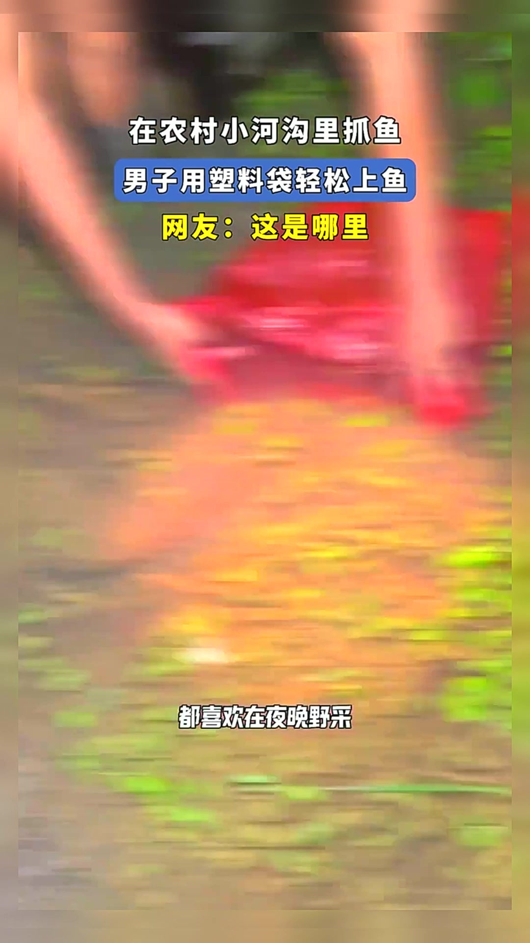 在农村小河沟里抓鱼,男子用塑料袋轻松上鱼,网友:这是哪里