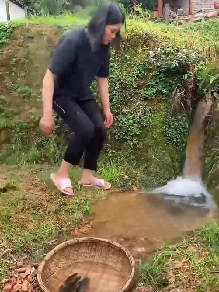 小溪沟抓石斑鱼,好手法