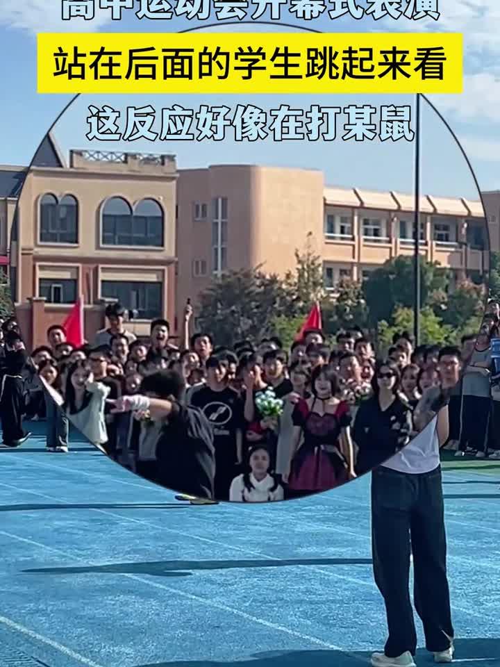 打某鼠还是顶蘑菇?节目有多好看,光看观众反应就知道了……