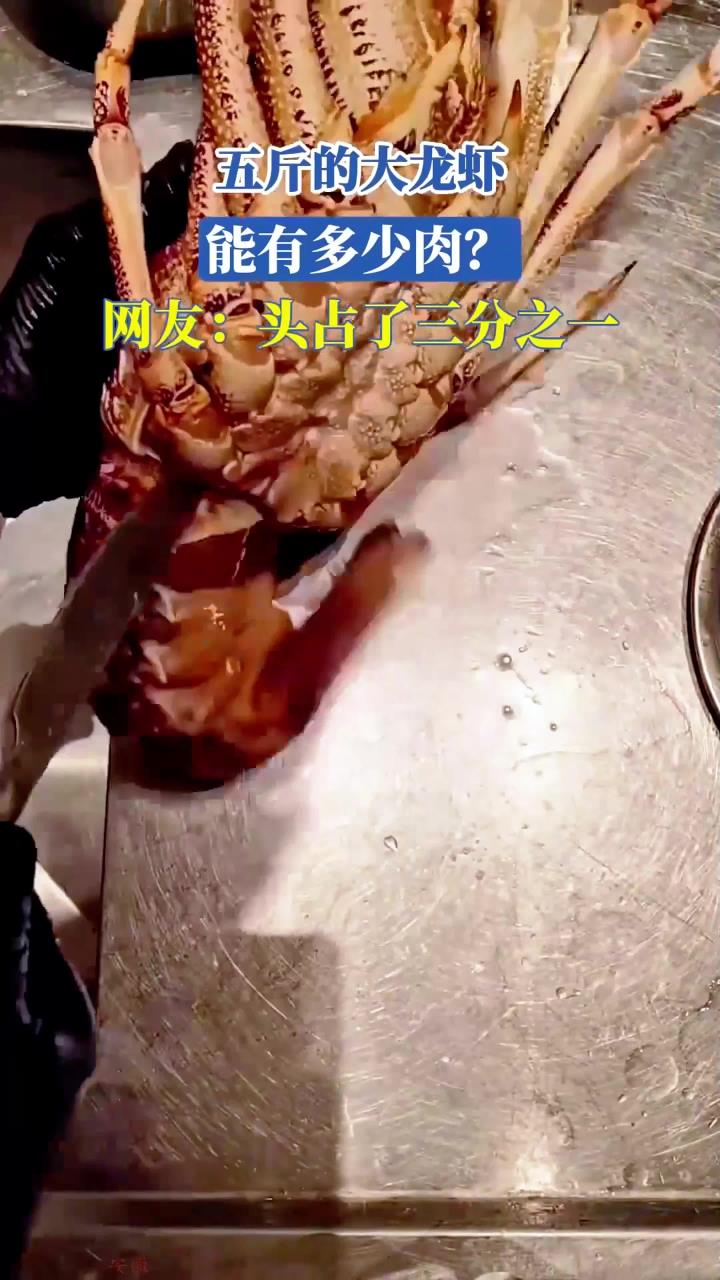 五斤的大龙虾，能有多少肉？网友：头占了三分之一