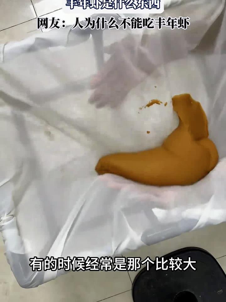 丰年虾是什么东西，网友：人为什么不能吃丰年虾