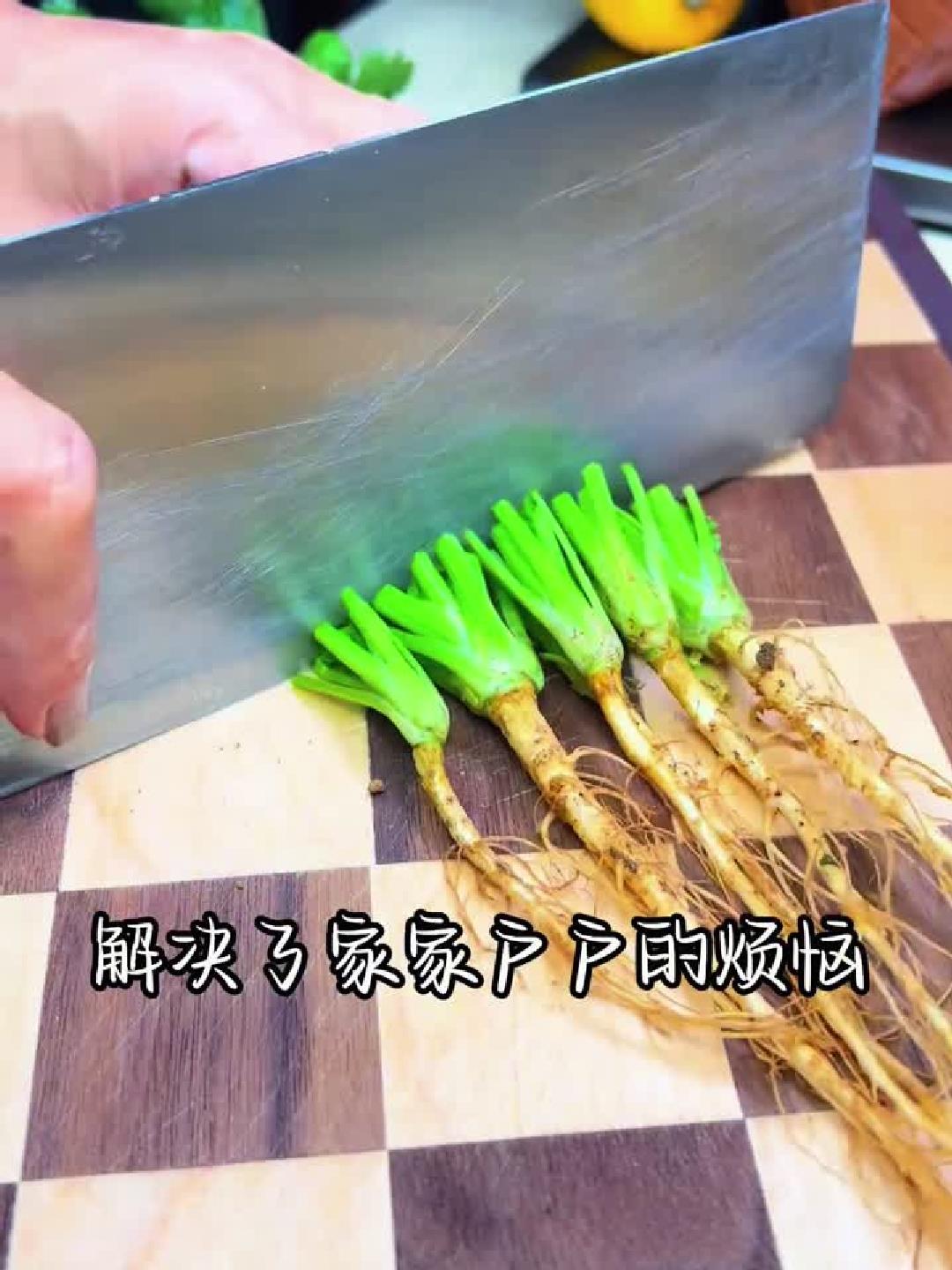 香菜白萝卜汤：养生一宝，功效太神奇！