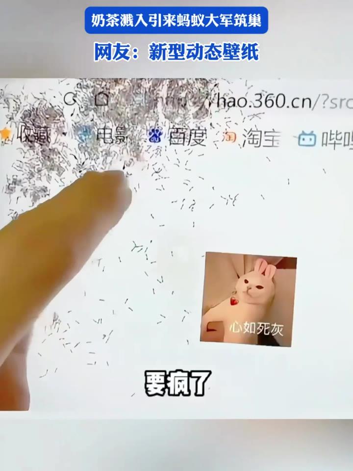 女子喜欢在电脑前吃甜食，奶茶溅入引来蚂蚁大军筑巢