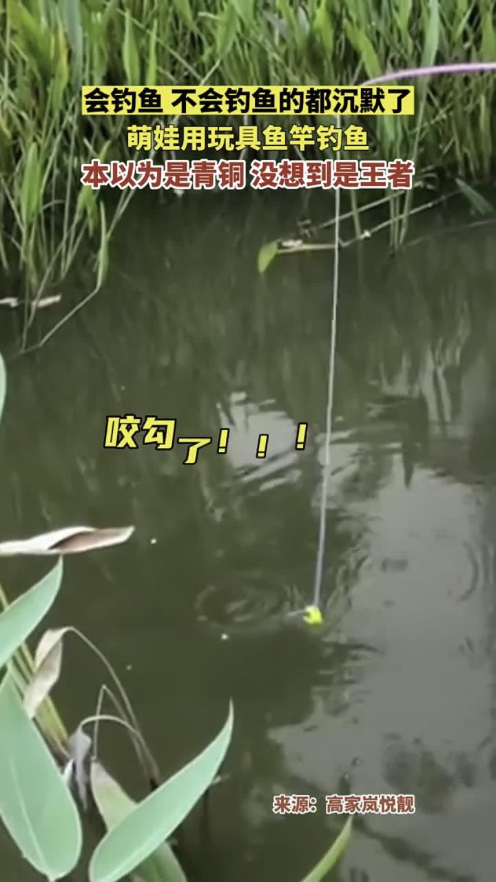 萌娃用玩具鱼竿钓鱼,本以为是青铜 没想到是王者