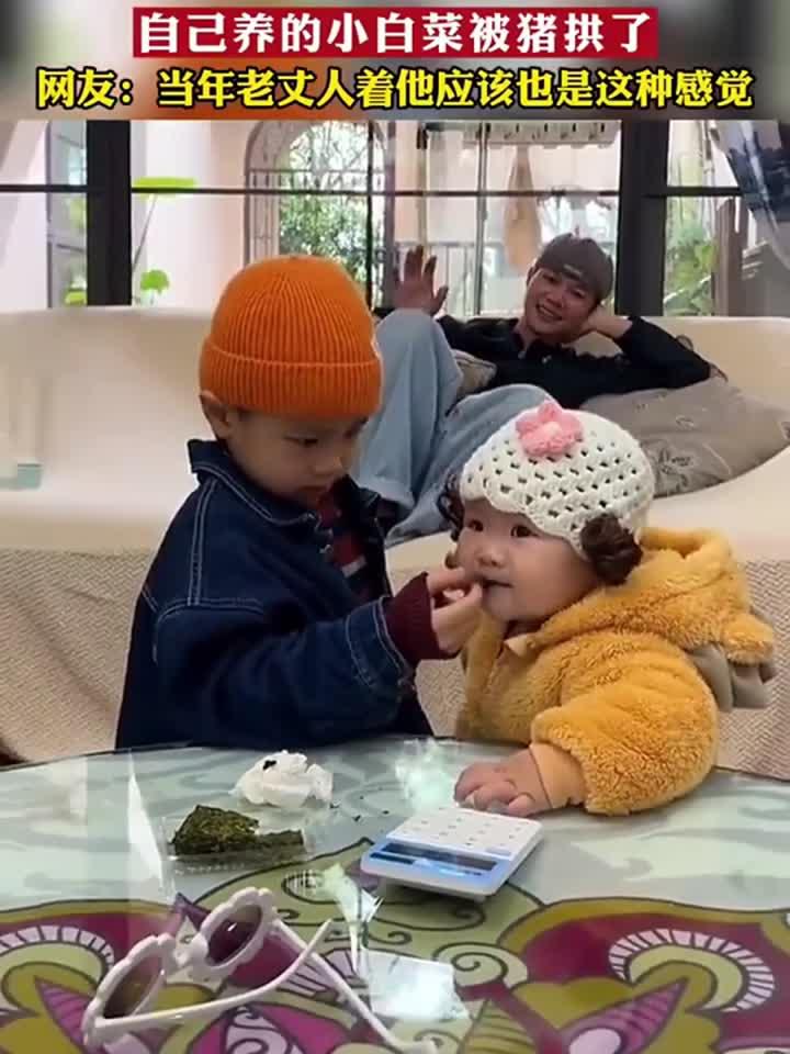 爸爸眼睁睁的看着,自己养的小白菜被别人家小猪拱了