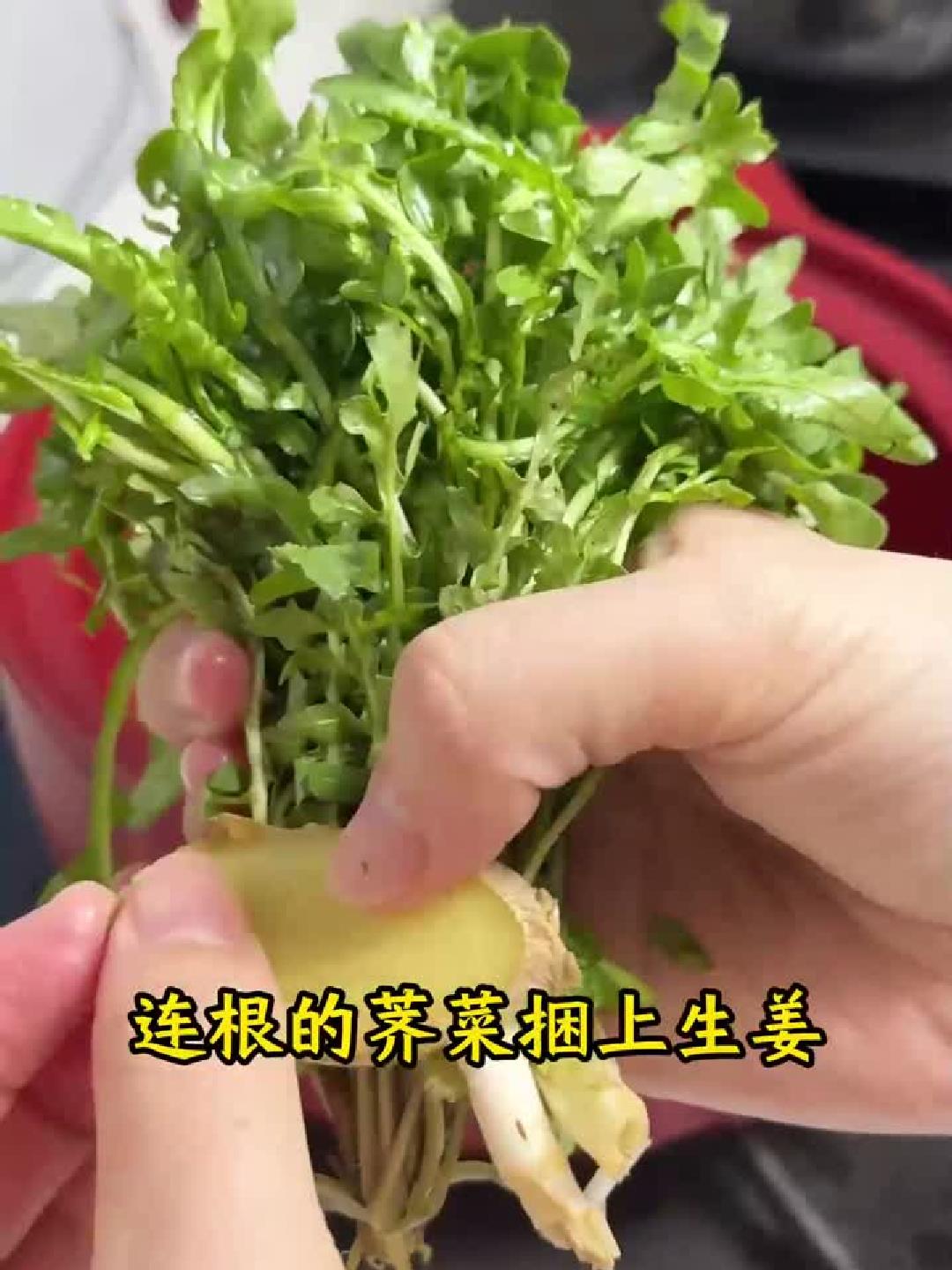 养生懒人汤！山药肉末一锅炖，鲜到连碗底都舔干净