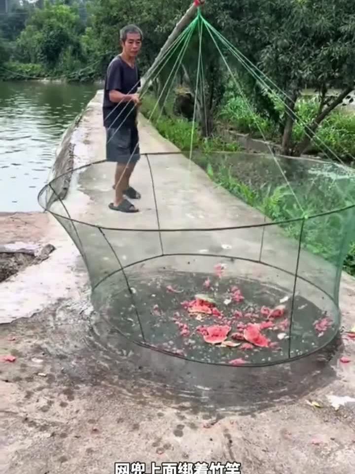 自制网兜放入西瓜捞鱼