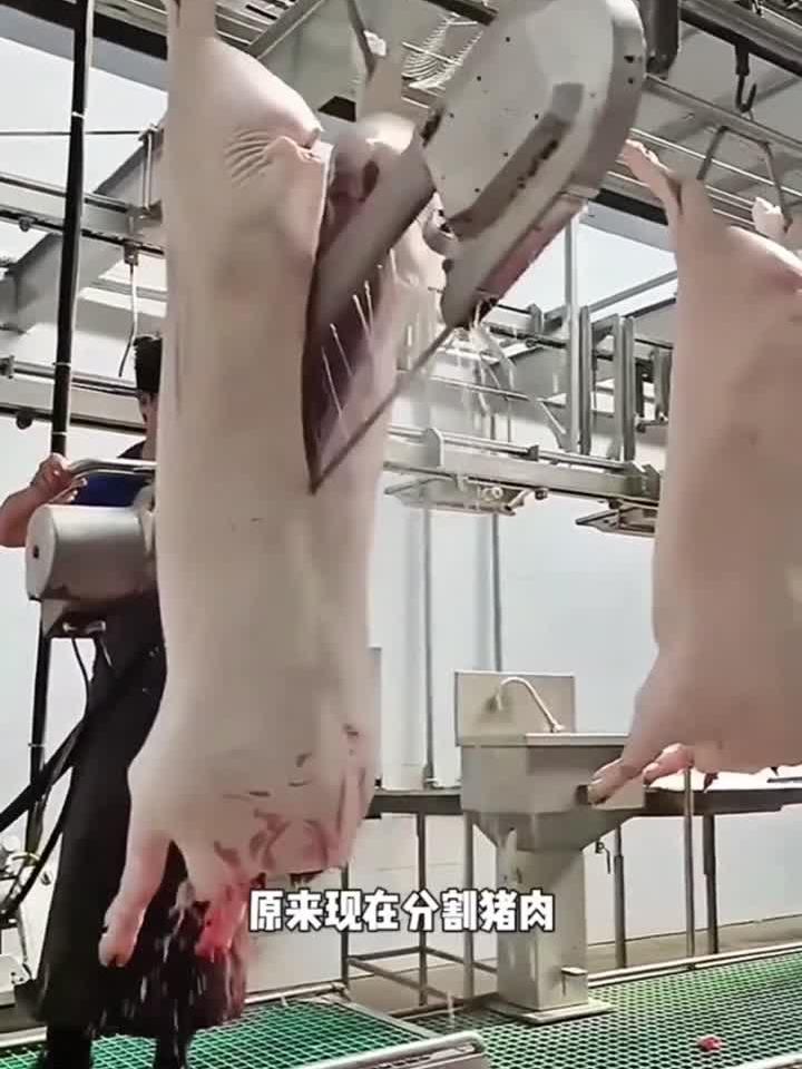 大哥分割猪肉，太秀了吧：专业