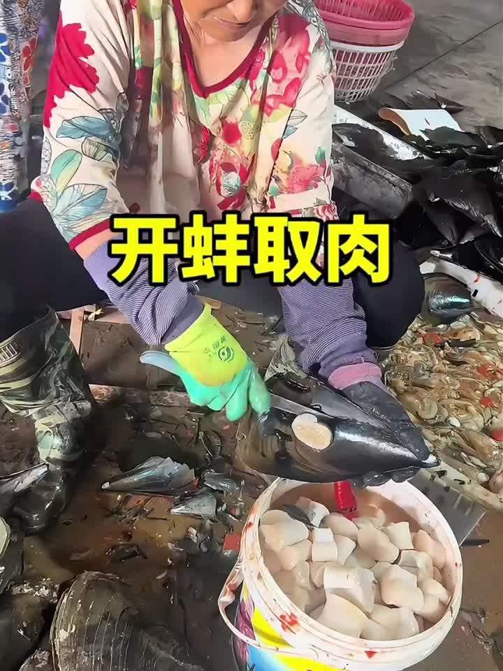 这么大个河蚌，只要这一点点肉