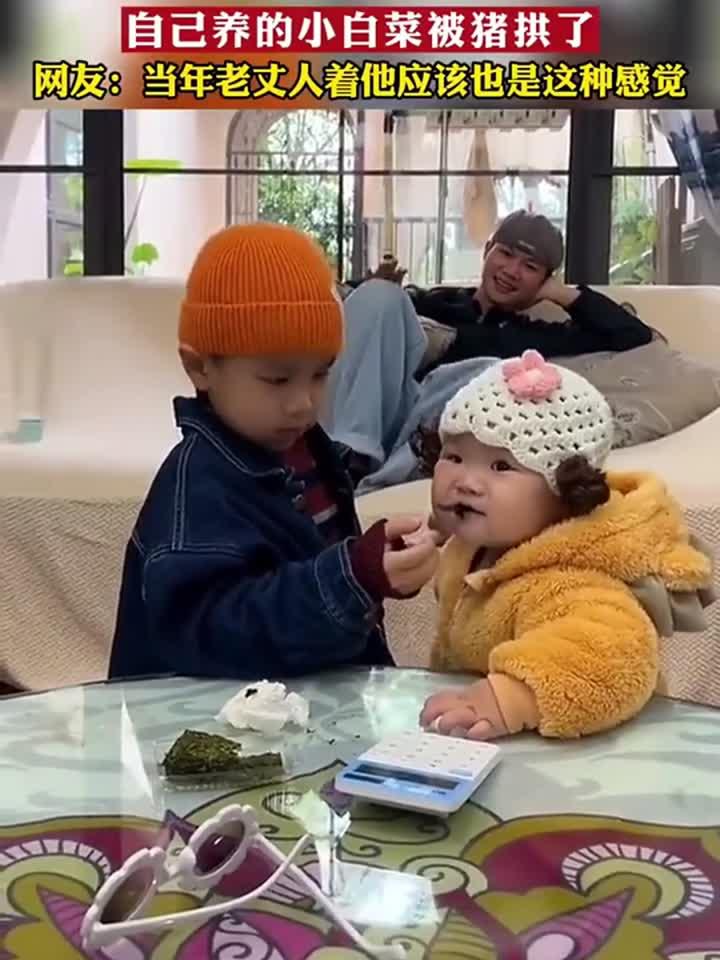 爸爸眼睁睁的看着,自己养的小白菜被别人家小猪拱了