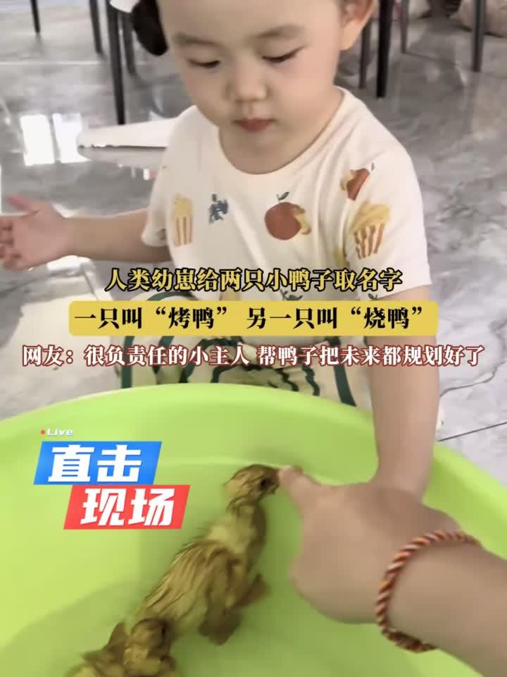 人类幼崽给两只小鸭子取名字,一只叫“烤鸭”,另一只叫“烧鸭”