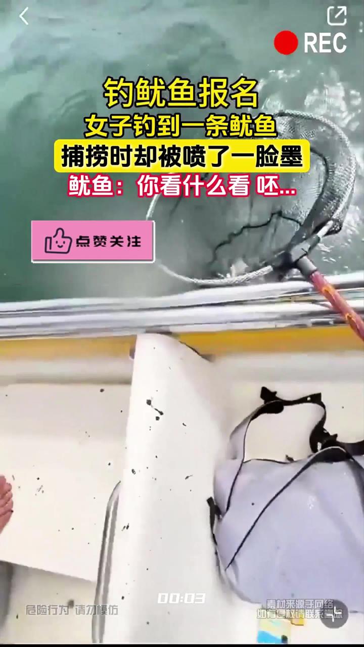 女子钓到一条鱿鱼，捕捞时却被喷了一脸墨