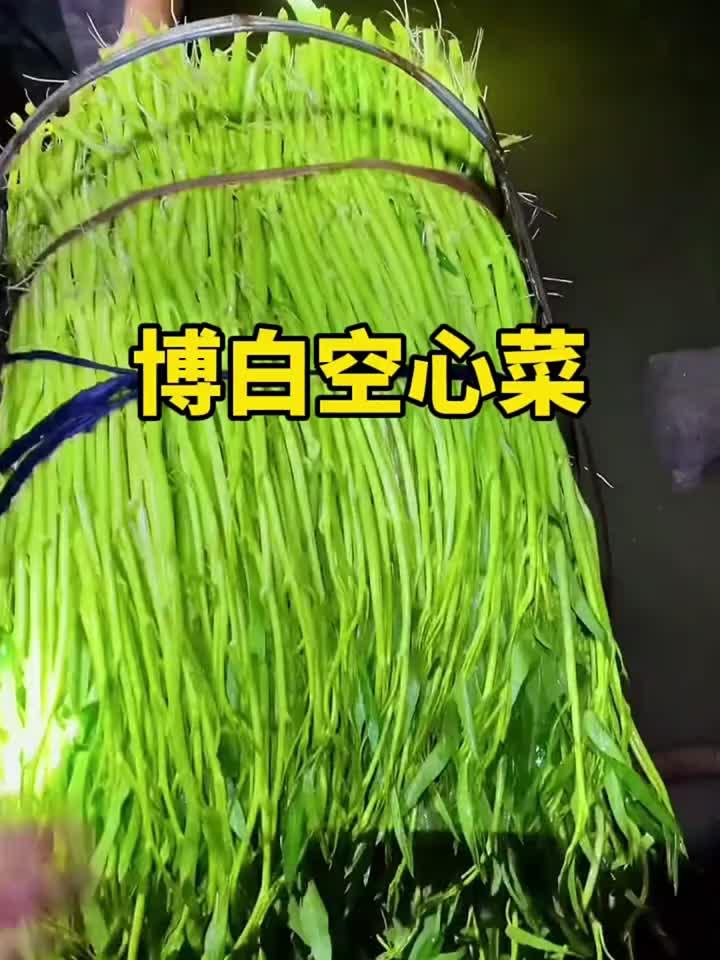 远近闻名的博白空心菜
