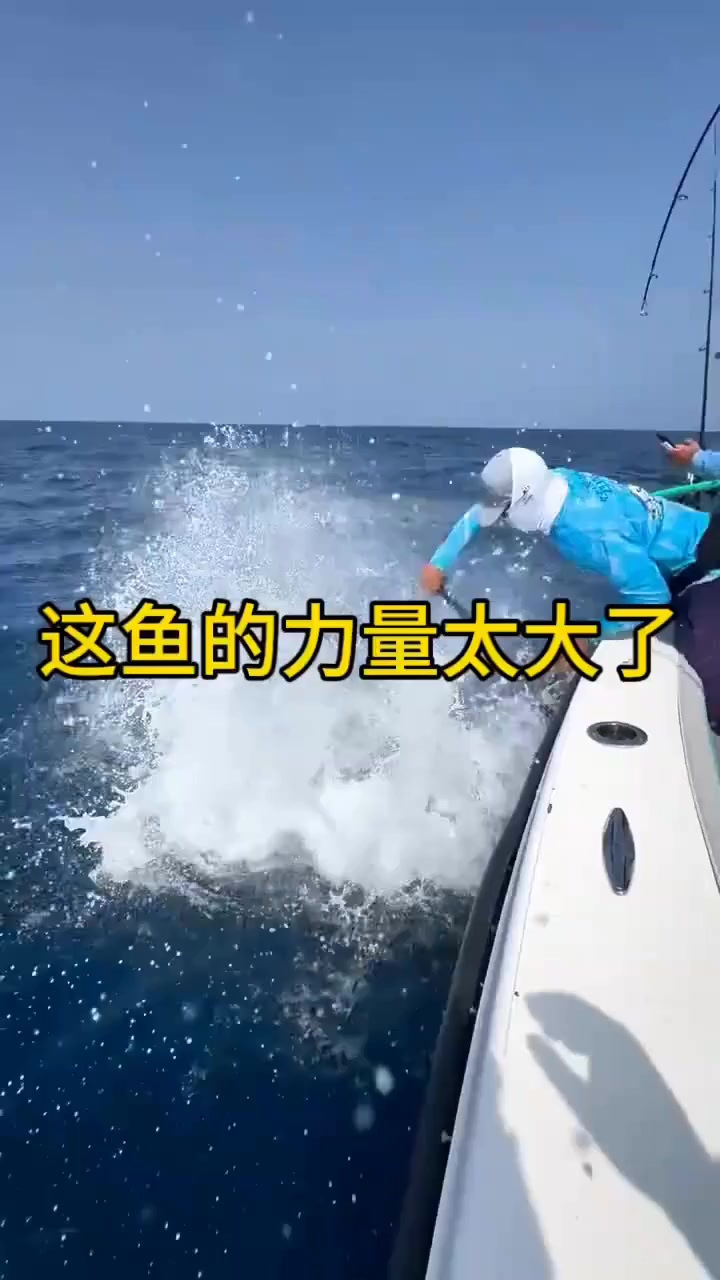 这海鱼的力量太大了,一下就把人拉到水里了