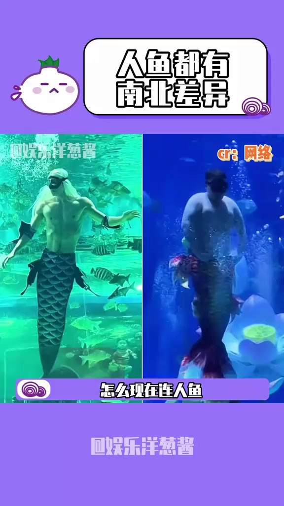连人鱼都有南北差异了吗?!