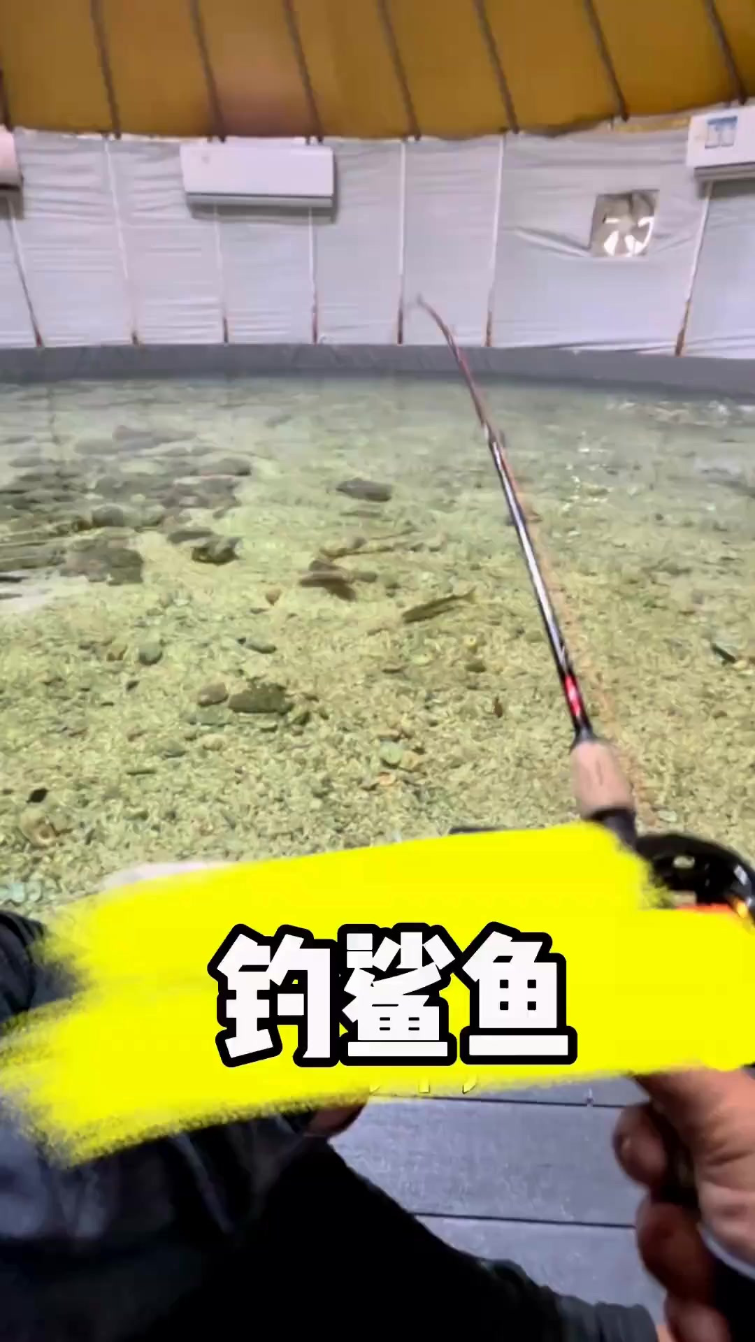 海钓 终于把鲨鱼干起来了 海钓 原来钓鱼才是抖音主流
