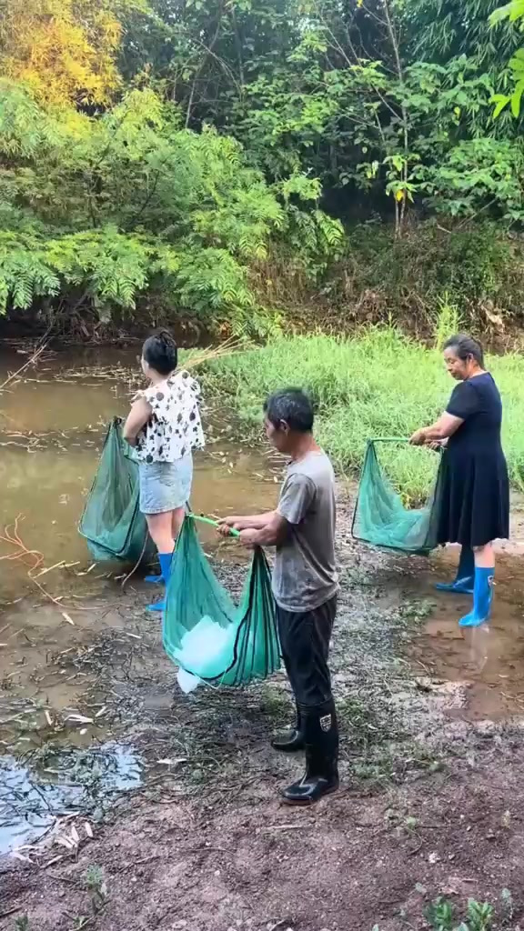 以后再也不用花钱买鱼了,用这个折叠鱼笼,自己就能抓到大鱼!