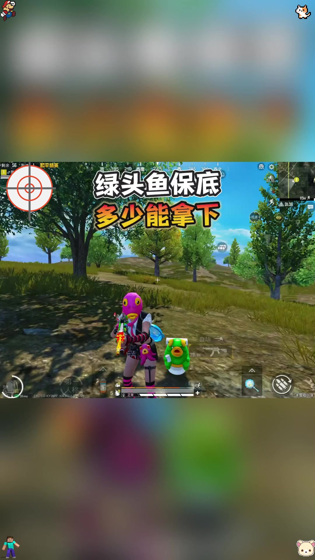 绿头鱼保底多少能拿下