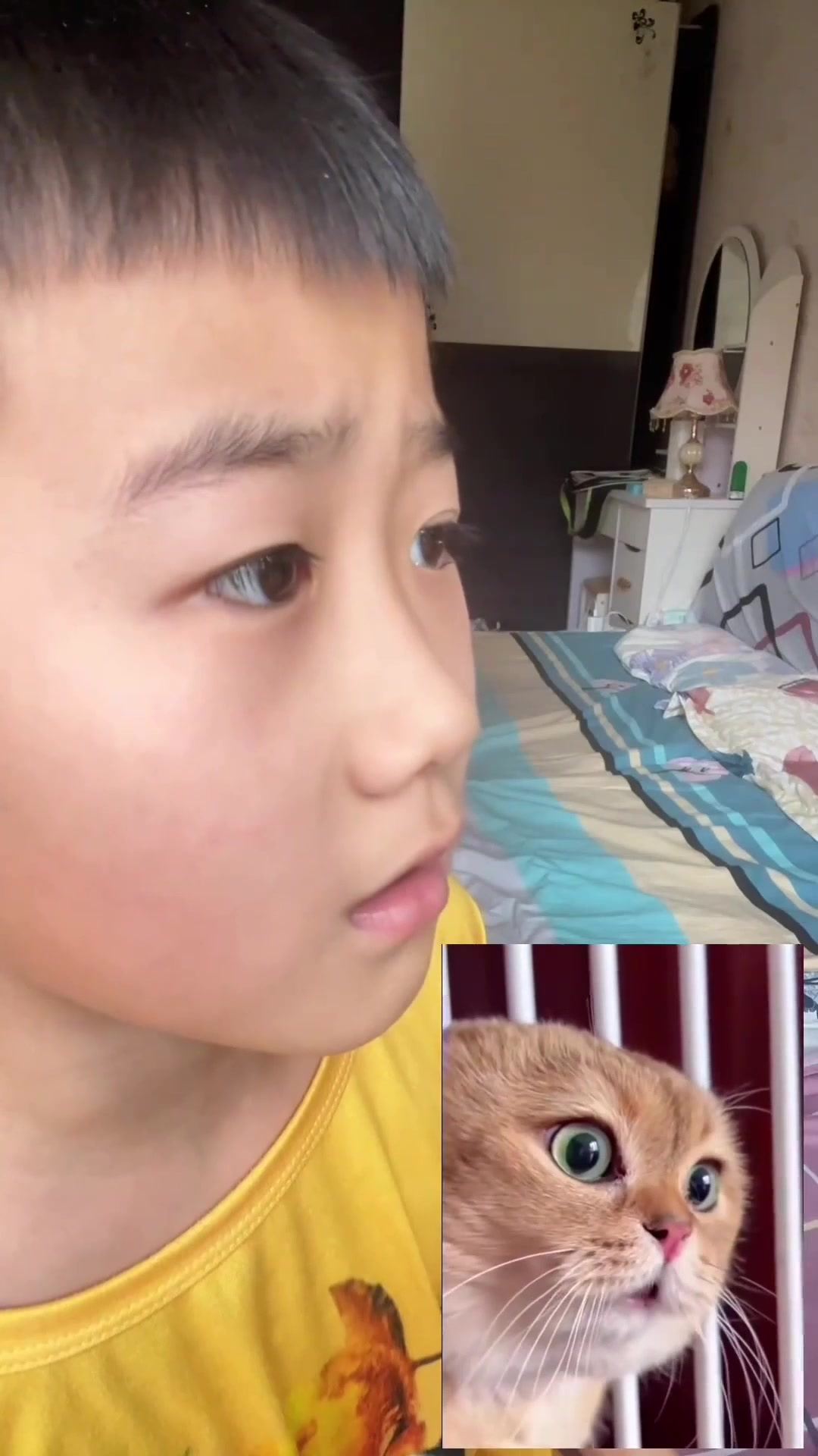 给猫meme表情包配音 猫meme 魔性 抖音精选