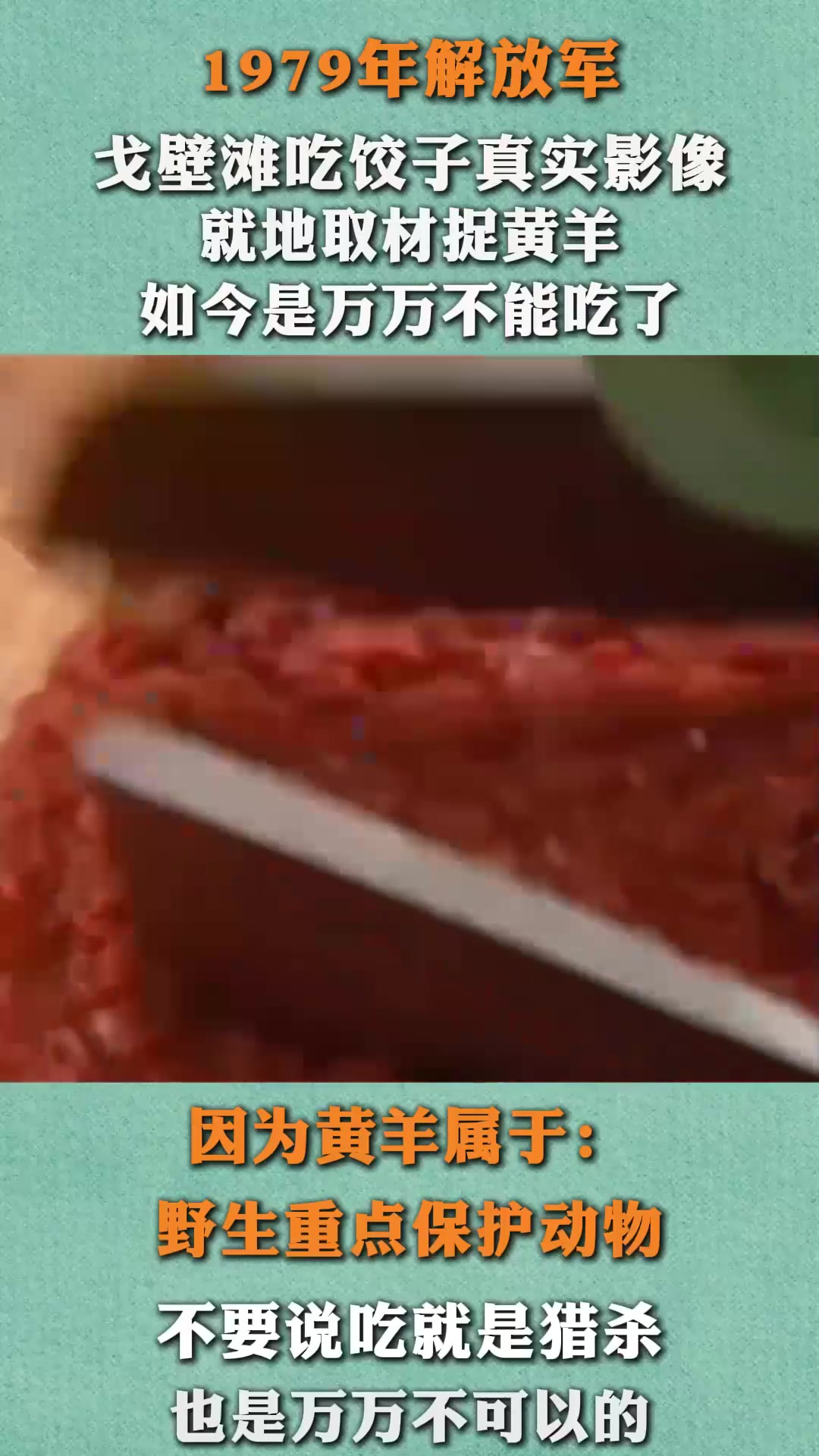 79年解放军吃饺子真实影像,捕捉黄羊当肉馅,如今是万万不能吃了