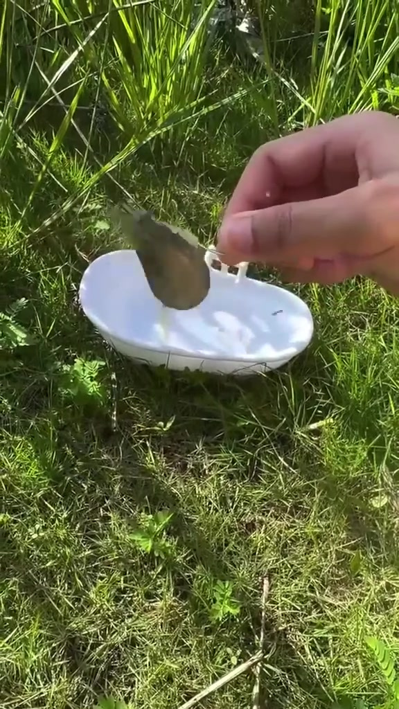 钓鱼趣了,秋天在水库钓鱼有多过瘾
