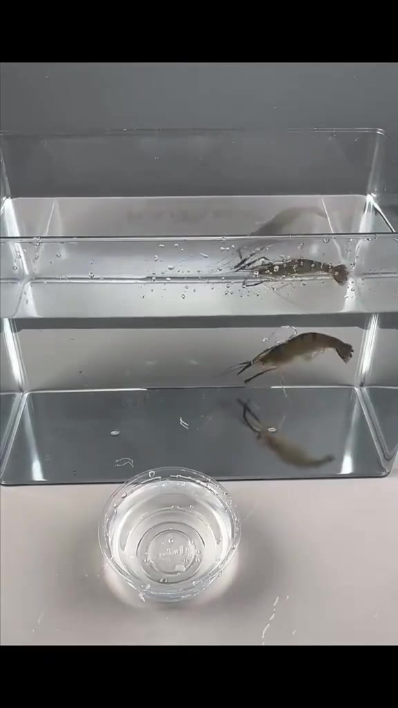 钓鱼趣了,秋天在水库钓鱼有多过瘾