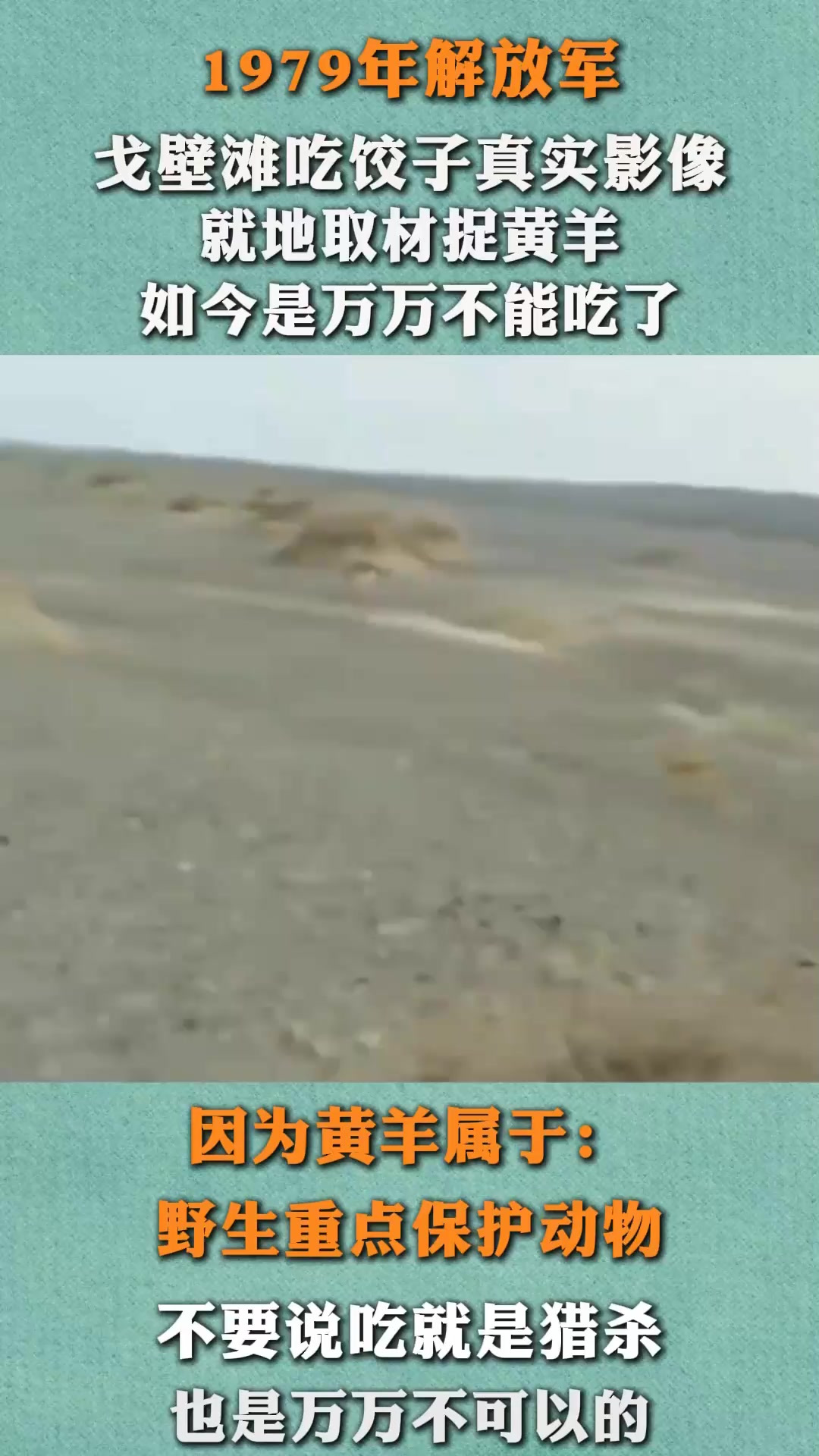 79年解放军吃饺子真实影像,捕捉黄羊当肉馅,如今是万万不能吃了