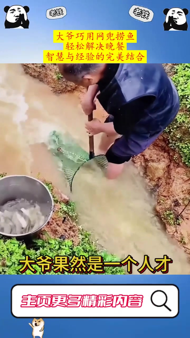 大爷巧用网兜捞鱼,轻松解决晚餐,智慧与经验的完美结合