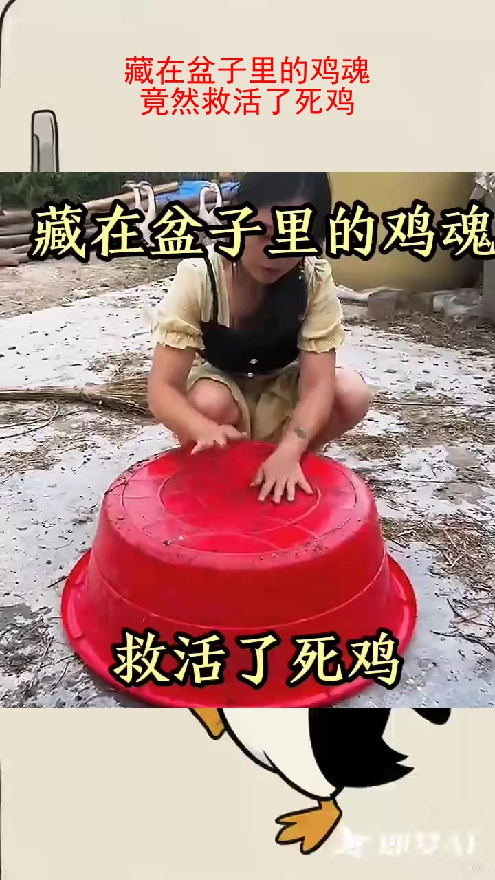 藏在盆子里的鸡魂，竟然救活了死鸡！