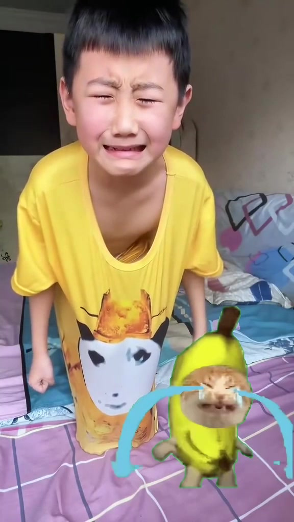 给猫meme表情包配音