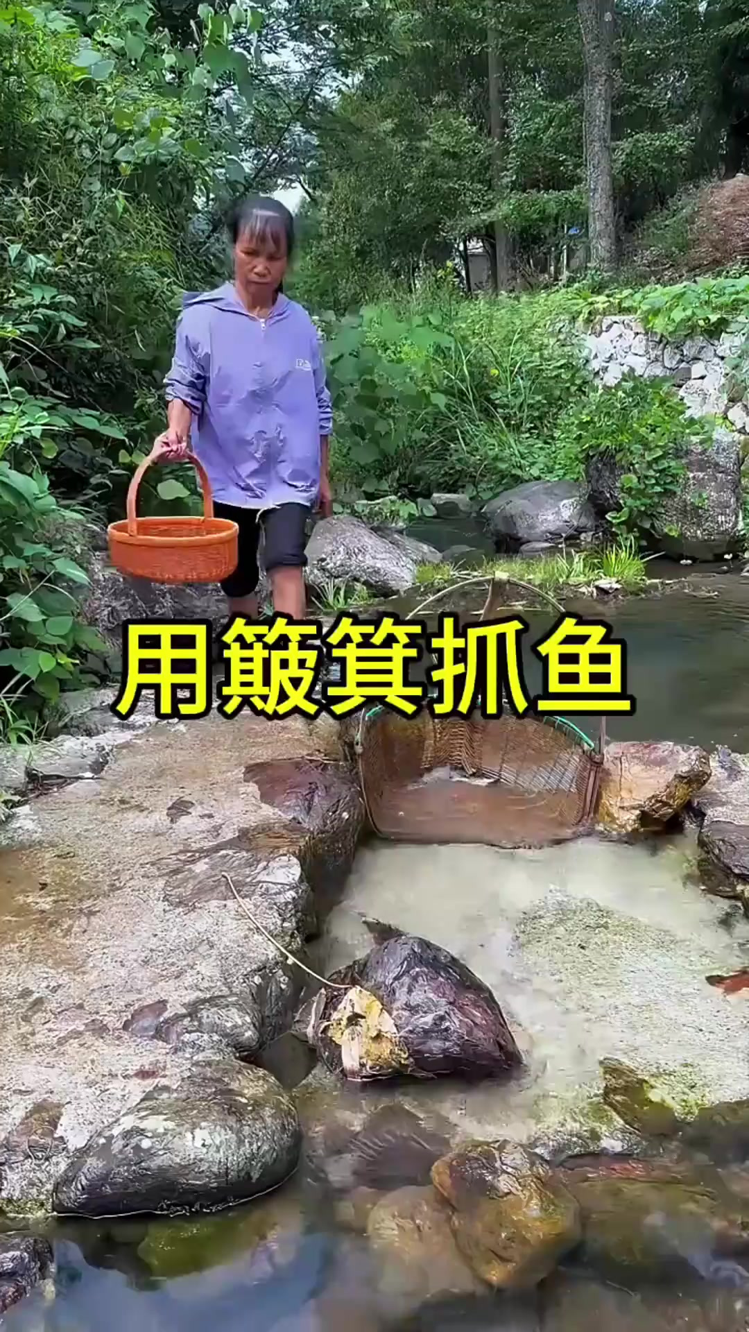 大姐用簸箕抓鱼