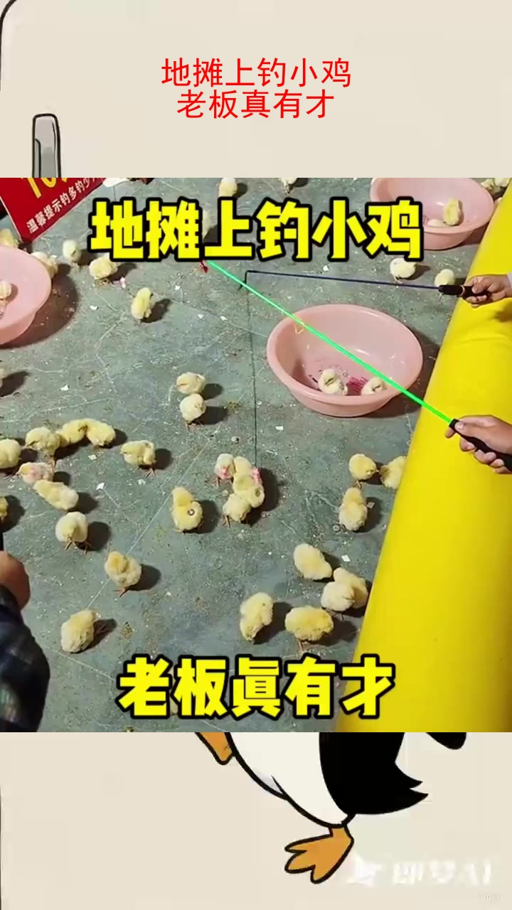 地摊上钓小鸡，老板真有才！