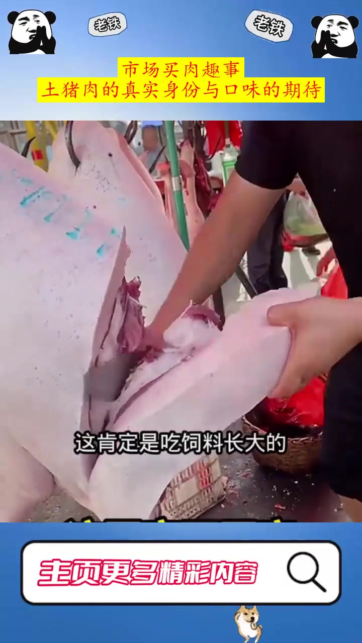 市场买肉趣事:土猪肉的真实身份与口味的期待