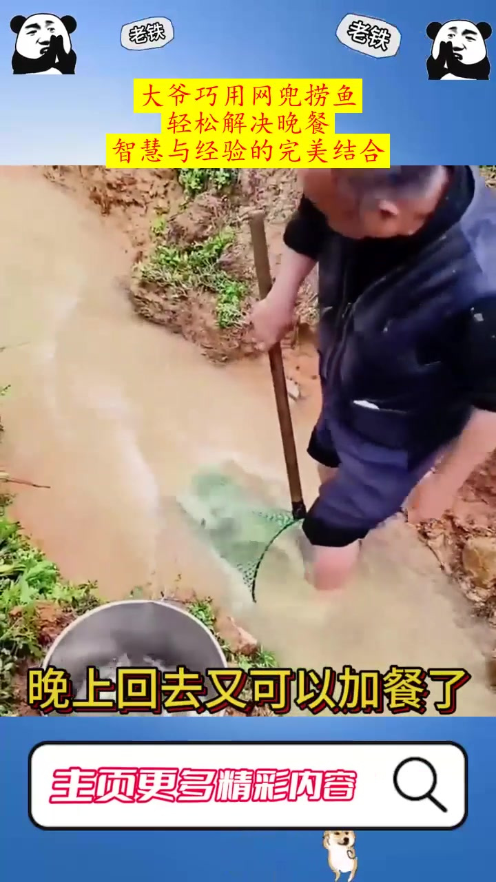大爷巧用网兜捞鱼,轻松解决晚餐,智慧与经验的完美结合