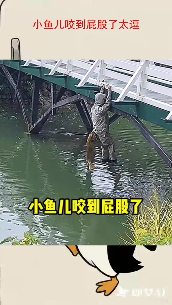 小鱼儿咬到屁股了太逗