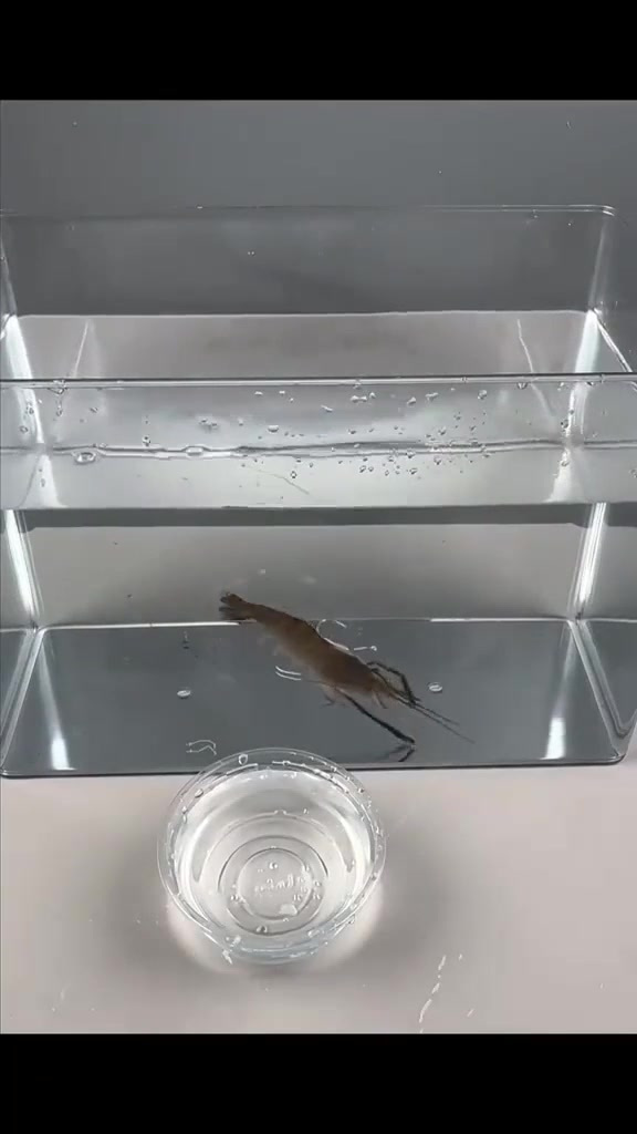 钓鱼趣了,秋天在水库钓鱼有多过瘾
