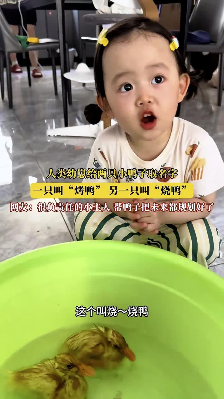 人类幼崽给两只小鸭子取名字,一只叫“烤鸭”,另一只叫“烧鸭”