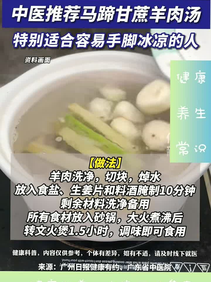 广东阿妈冬天必煲马蹄甘蔗羊肉汤暖手脚又养身