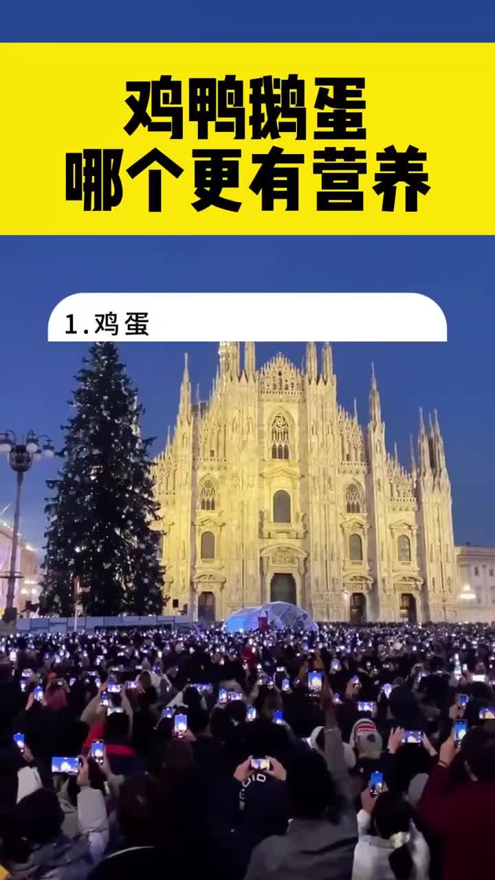 鸡鸭鹅蛋哪个更有营养
