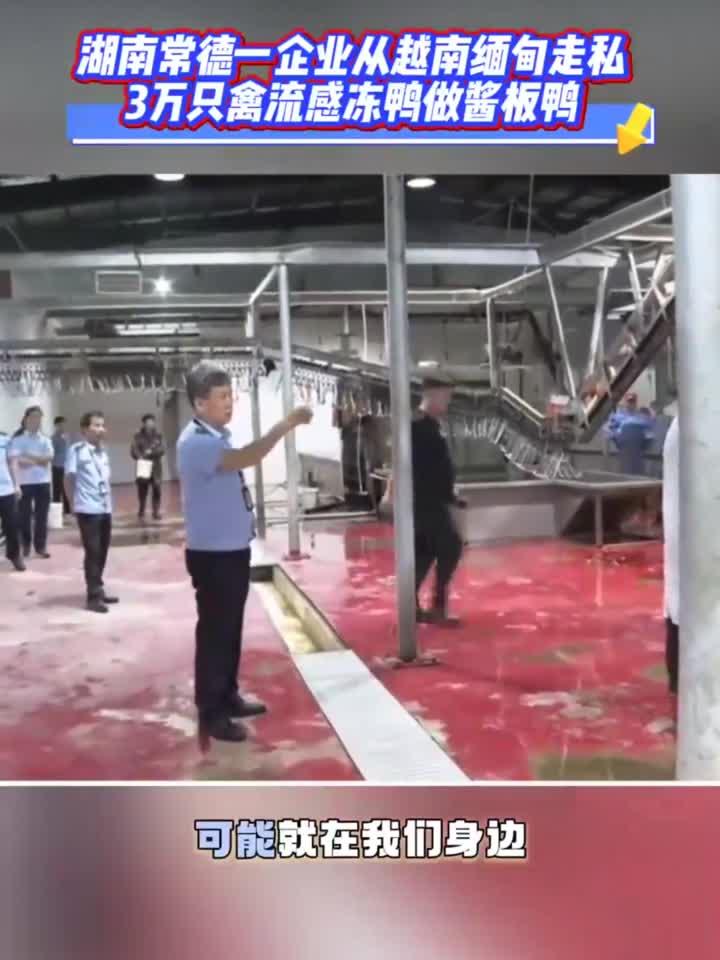 湖南常德一企业从越南缅甸走私3万只禽流感冻鸭做酱板鸭