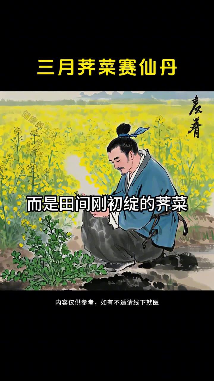 春日田间宝藏野菜，今年的荠菜你吃到了吗？