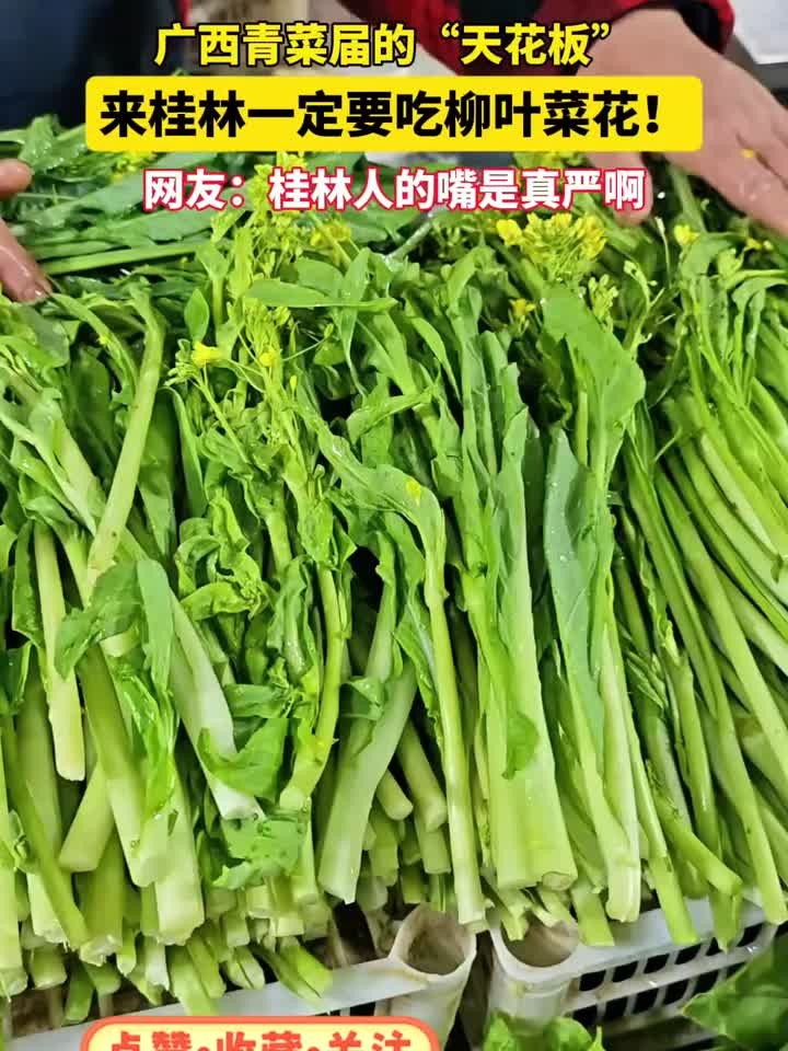 广西青菜界的“天花板”！来桂林一定要吃柳叶菜花！网友：桂林